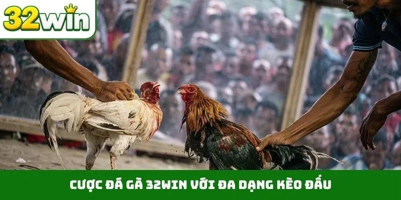 Cược đá gà 32WIN với đa dạng kèo đấu