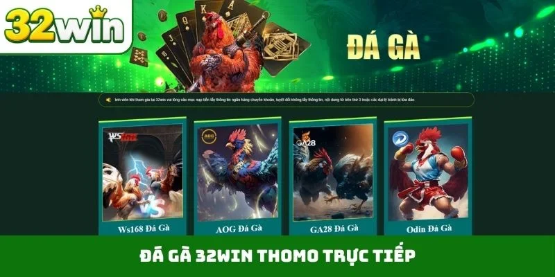 Đá gà 32WIN Thomo trực tiếp