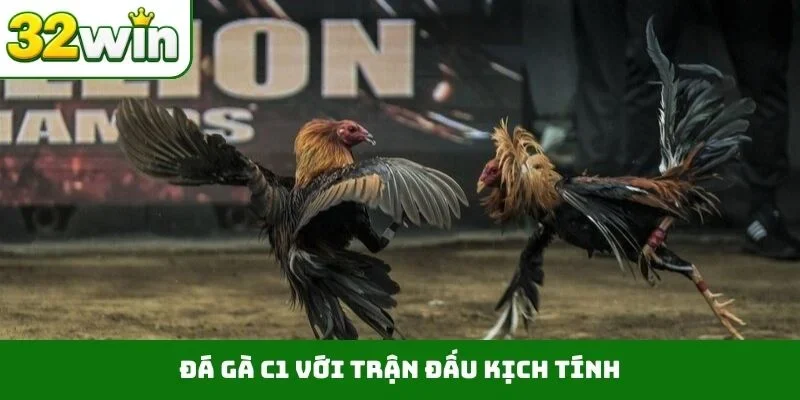 Đá gà C1 với trận đấu kịch tính