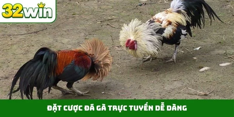 Đá Gà Trực Tuyến – Tận Hưởng Những Trận Đấu Nảy Lửa Tại 32WIN 1 Đặt cược đá gà trực tuyến dễ dàng