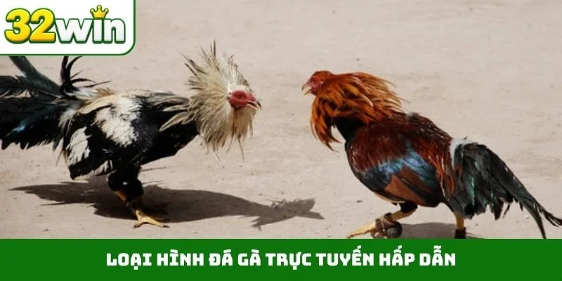 Đá Gà Trực Tuyến – Tận Hưởng Những Trận Đấu Nảy Lửa Tại 32WIN 2 Loại hình đá gà trực tuyến hấp dẫn