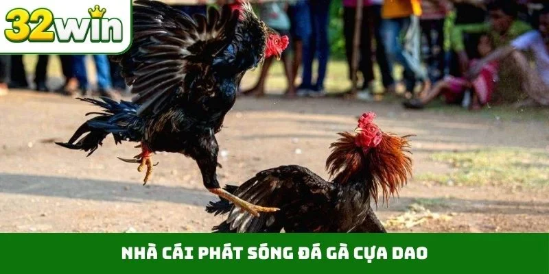 Đá Gà Cựa Dao – Những Trận Chiến Nảy Lửa Ngay Trên 32WIN 4 Nhà cái phát sóng đá gà cựa dao