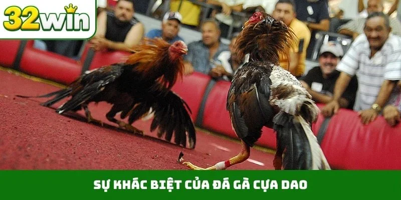 Đá Gà Cựa Dao – Những Trận Chiến Nảy Lửa Ngay Trên 32WIN 1 Sự khác biệt của đá gà cựa dao