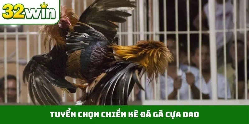 Đá Gà Cựa Dao – Những Trận Chiến Nảy Lửa Ngay Trên 32WIN 2 Tuyển chọn chiến kê đá gà cựa dao
